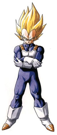 ssj1.jpg